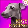 Iggy Racing