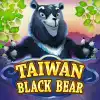 Taiwan Black Bear