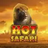 Hot Safari